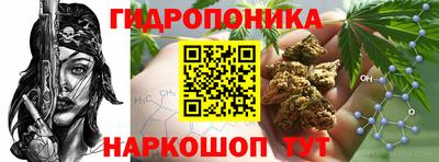 PSILOCYBIN Комсомольск-на-Амуре