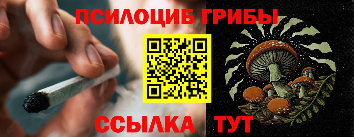 Азов  Псилоцибиновые грибы мицелий  цены   Вход с VPN 